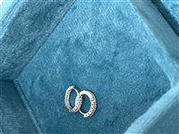 Orecchini Domar in Argento Zircone ORAR-319-280
